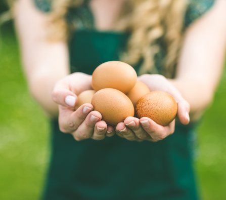 Manos sosteniendo huevos