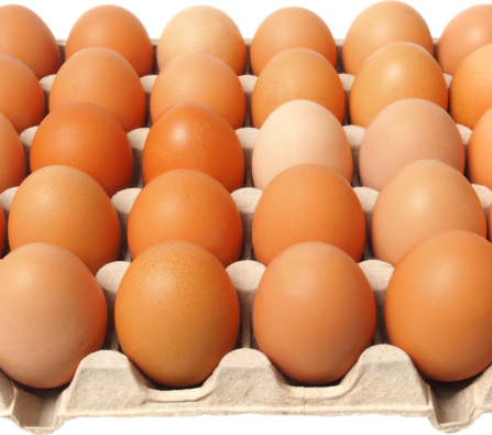 Bandeja llena de huevos